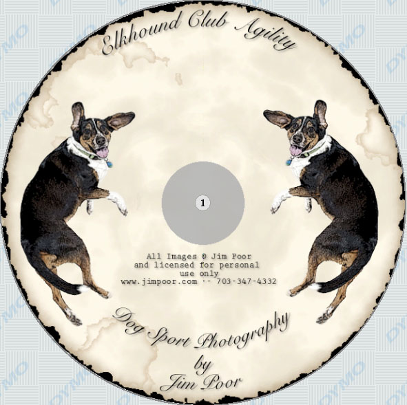 Lightscribe Disc
