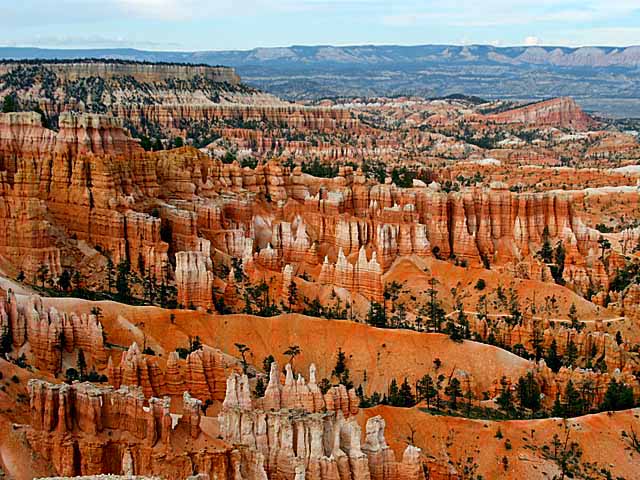 hoodoos at Bryce Canyon