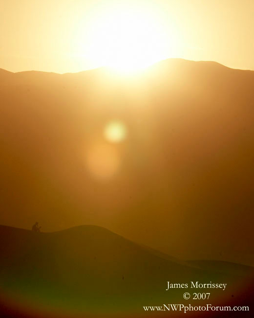 Reading on the Dunes