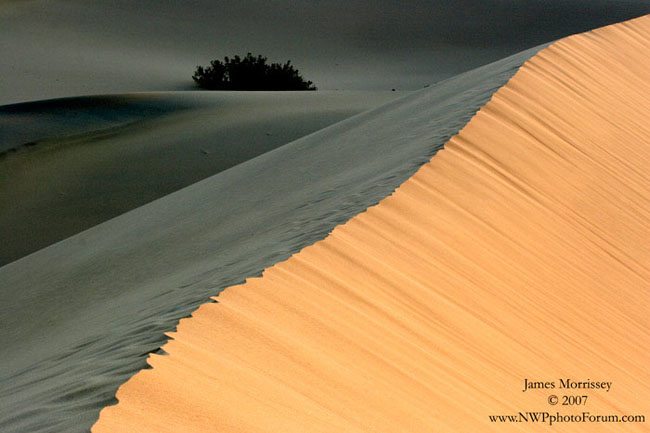 The Dunes in the Morning