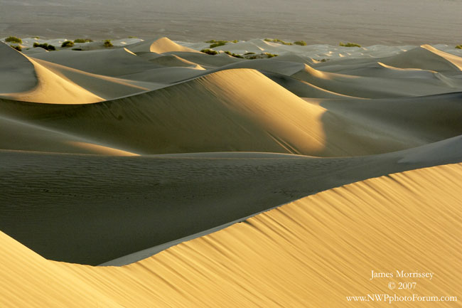 Sun Rising on the Dunes