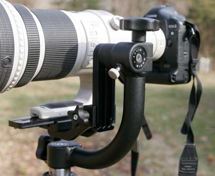 Nature, Wildlife and Pet Photography