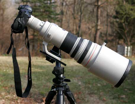 Nature, Wildlife and Pet Photography