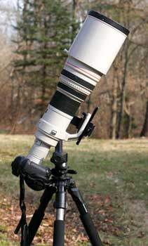 Nature, Wildlife and Pet Photography