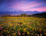 Nature, Wildlife and Pet Photography: An Interview with David Brookover by James Morrissey