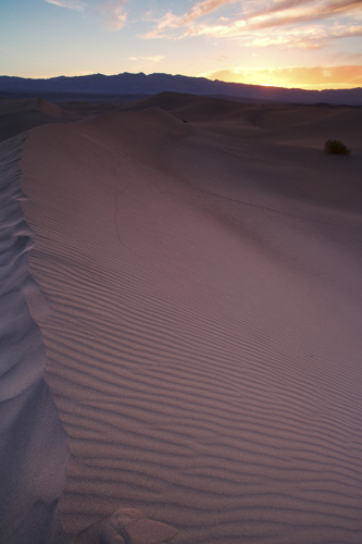 Dunes Sunrise