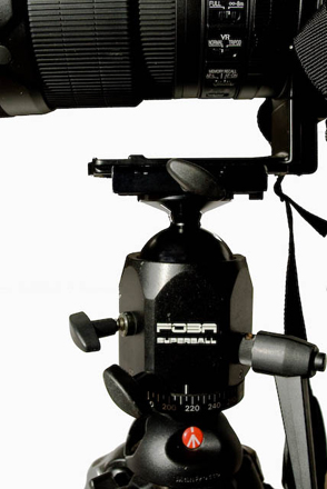 lens body