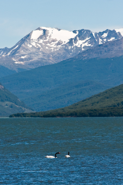 Tierra del Fuego National Park