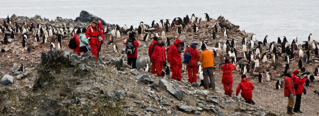 Tourists at Half Moon Island