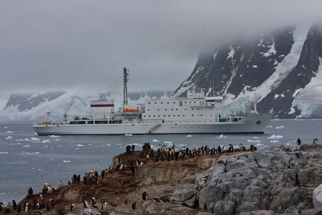 Akademik Ioffe