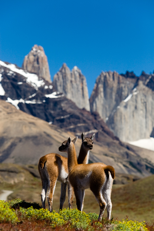 Torres del Paine National Park