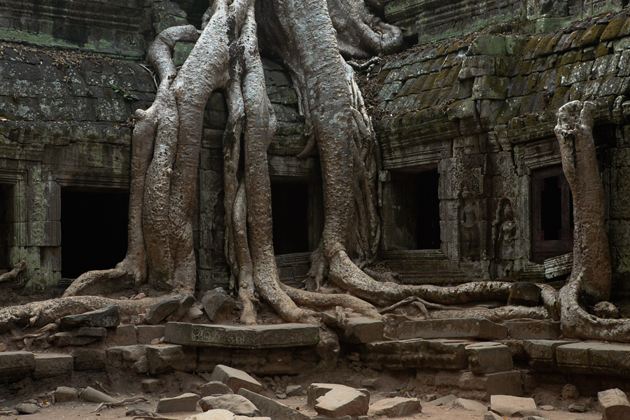 Ta Prohm