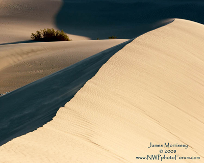 Sand Dunes