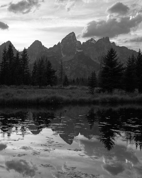 black and white image of the Tetons