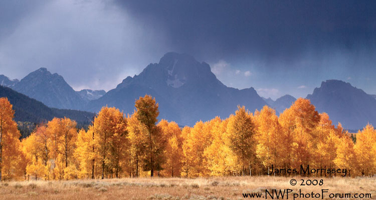 Mt. Moran