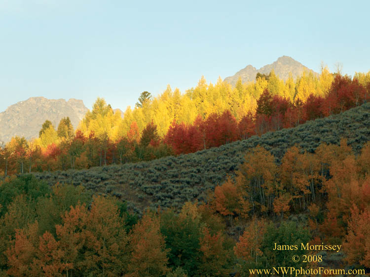 autumn leaves by Oxbow Bend