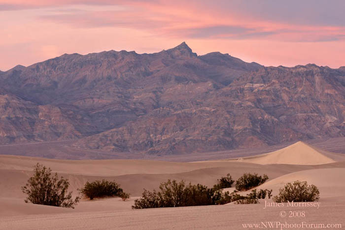 Stovepipe Dunes 1