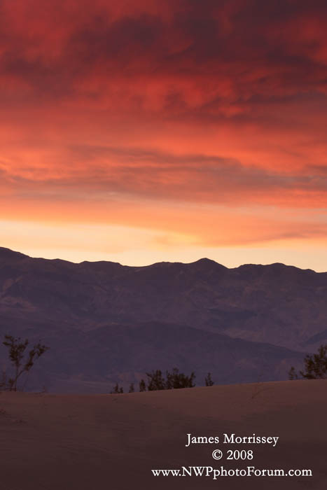 Stovepipe Dunes 2