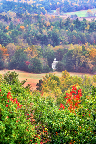 Chapple in Cades Cove