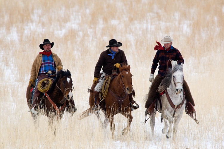 cowboys on horses