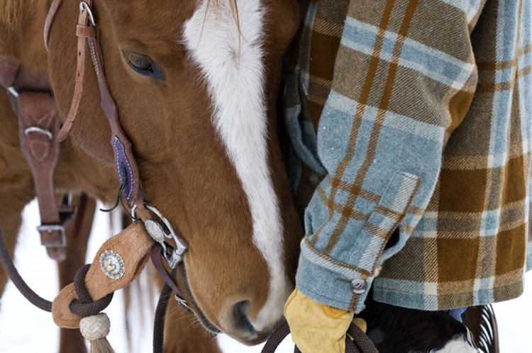 cowboy and horse