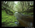 Nature, Wildlife and Pet Photography:Photographing Tasmania, An Interview with Geoff Murray - May 15, 2005