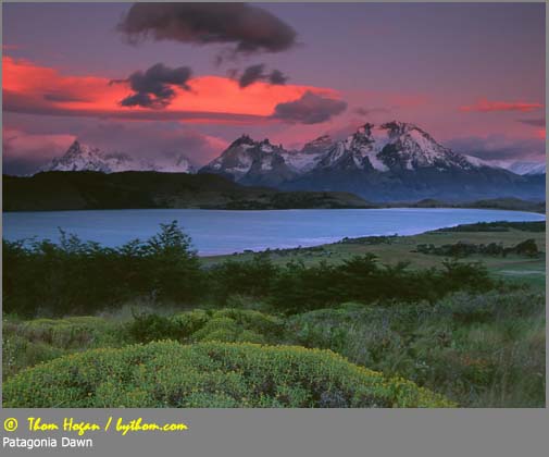 symaskine han grøntsager An Interview with Thom Hogan - The Nature, Wildlife and Pet Photography  Forum