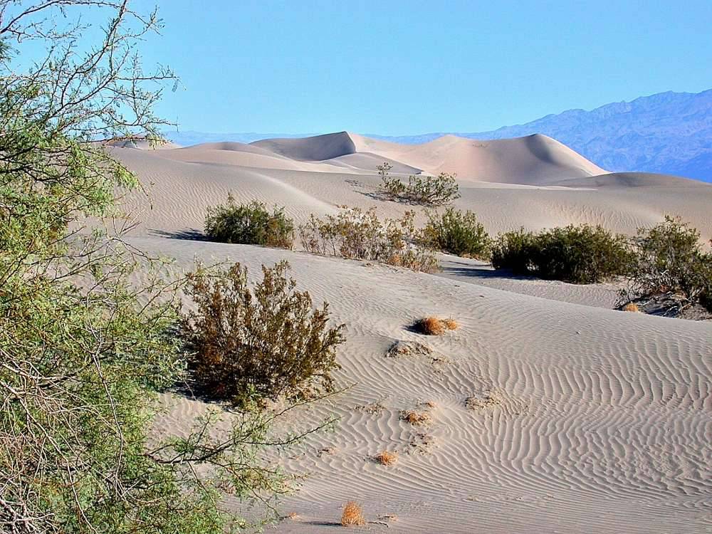 Death_Valley_Dunes.jpg