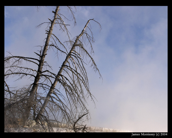 CRW_3600