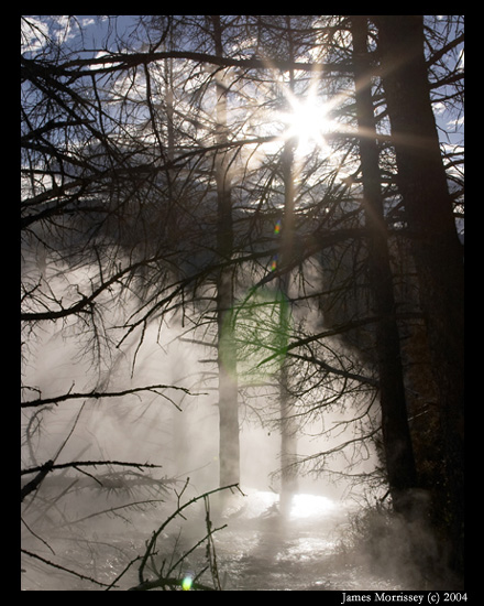 CRW_3609
